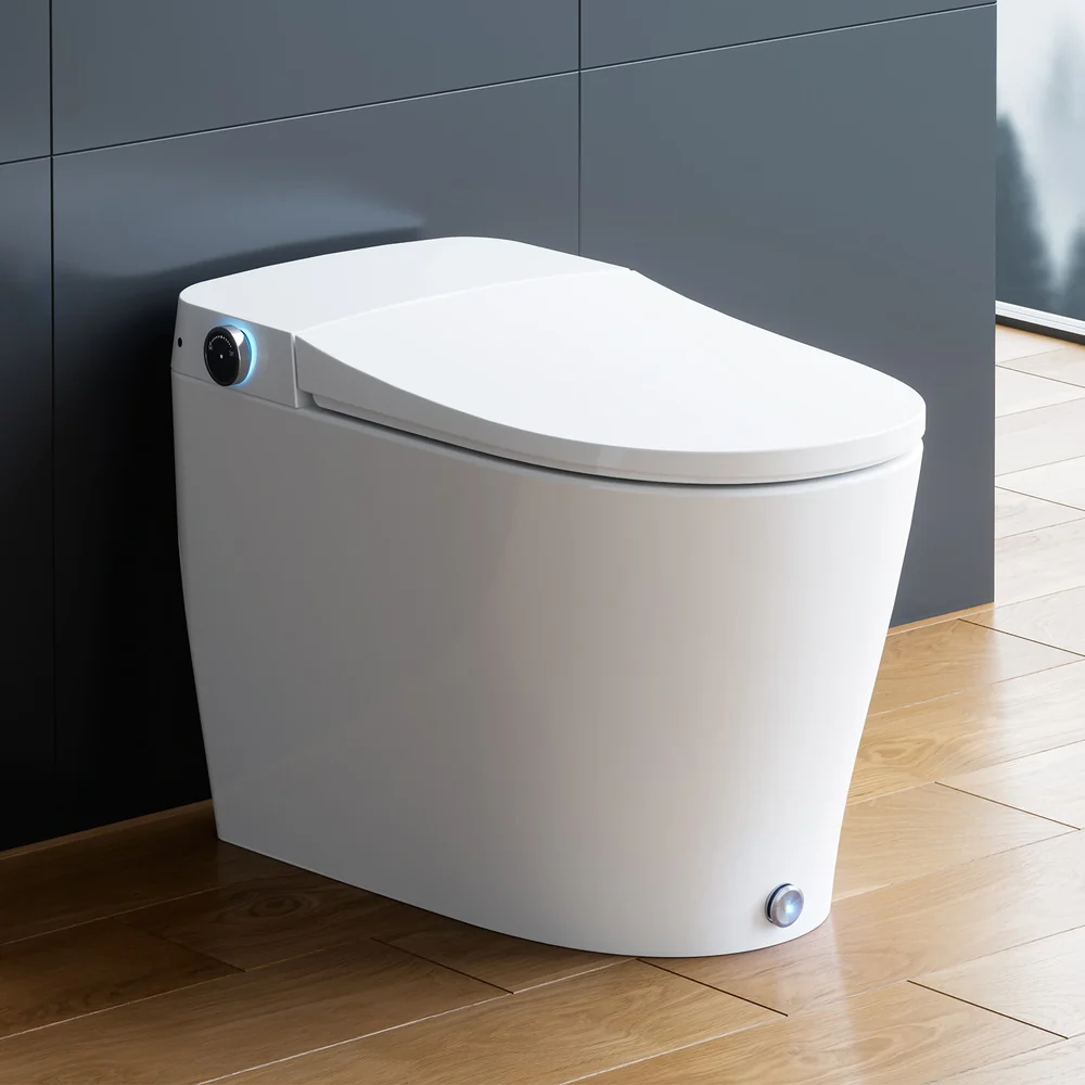 Luxury Smart Toilet Feature 5