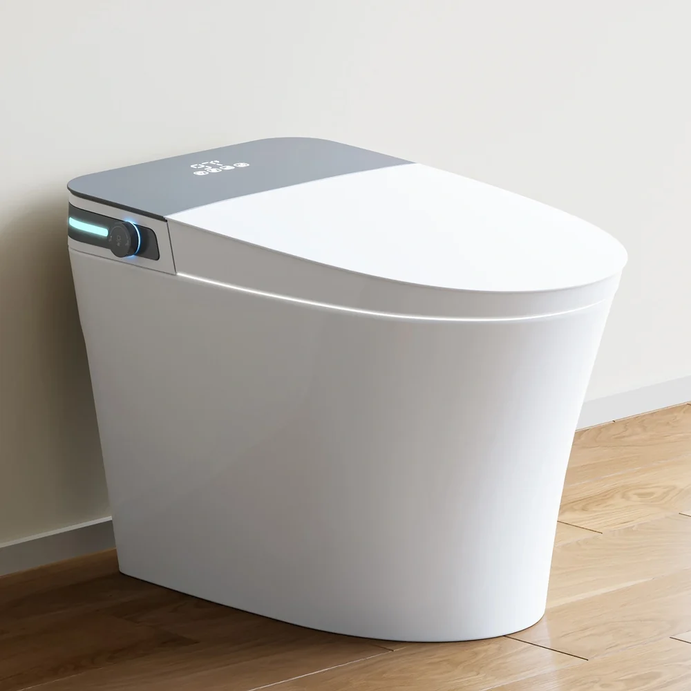 Luxury Smart Toilet Feature 6